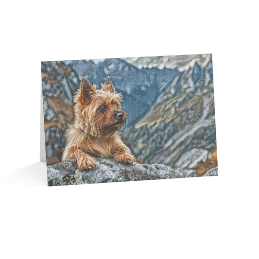 Australian Terrier Greeting Cards (Set of 10, 30, 50) | Cheerful Dog Lover Stationery