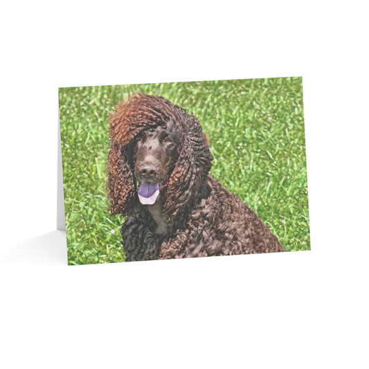 Irish Water Spaniel Greeting Card Set – Curly-Coated Dog Lover Cards (5"x7")