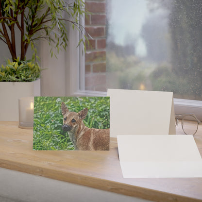Taiwan Dog Greeting Cards – Rare Breed Art Set