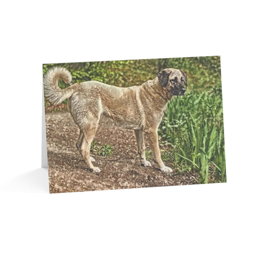 Kangal Shepherd Dog Greeting Card Set – Powerful & Protective Dog Lover Cards (5"x7")