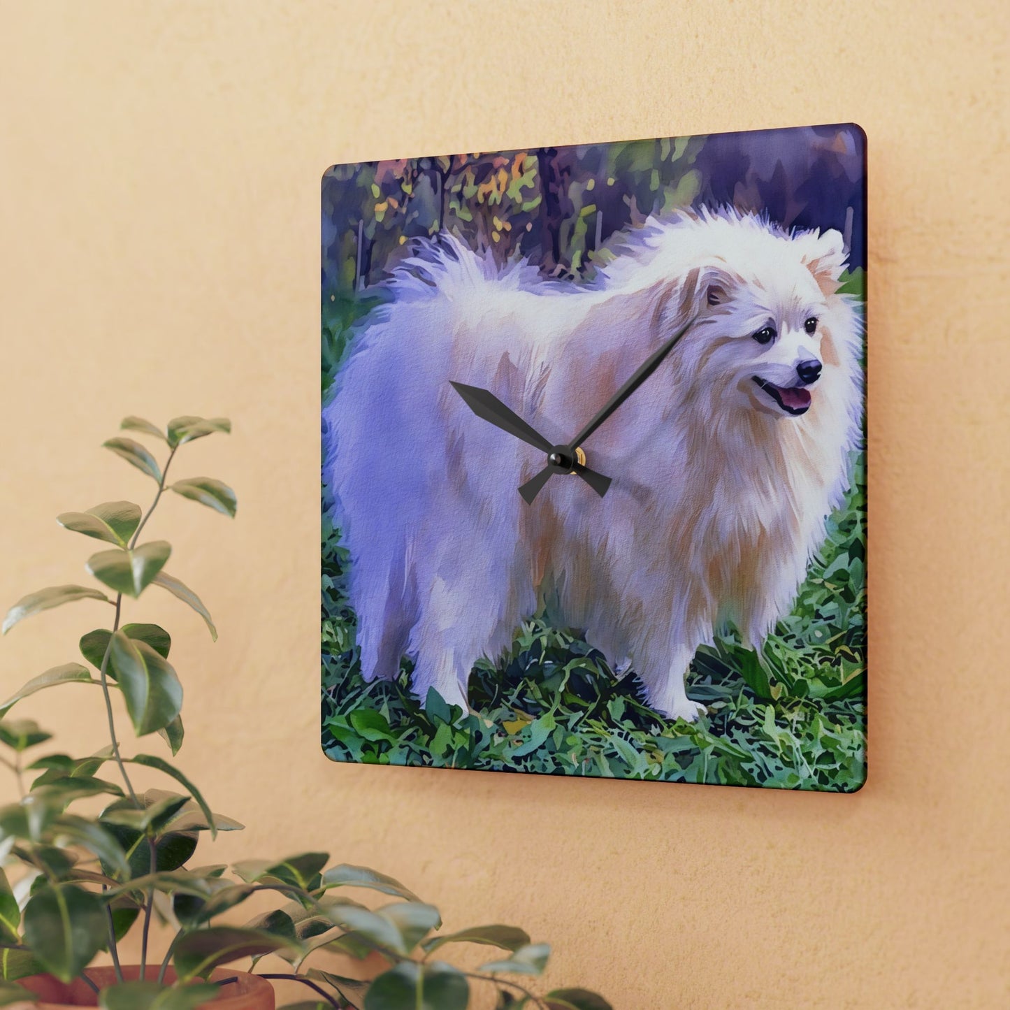 Volpino Italiano Wall Clock – Rare Dog Lover Gift – Charming Breed Design