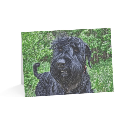 Black Russian Terrier Greeting Cards | Dog Lover Stationery Set | Blank Note Cards with Bold Terrier Art