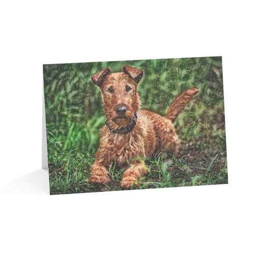 Irish Terrier Greeting Card Set – Bold & Loyal Dog Lover Cards (5"x7")