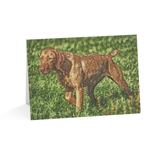 Wirehaired Vizsla Greeting Cards – Unique Dog Lover Gift – Artistic Vizsla Design