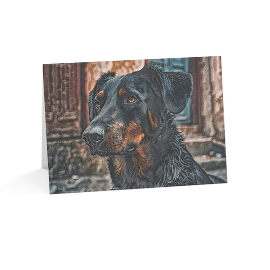 Beauceron Greeting Cards | Dog Lover Stationery Set | 5x7 Dog Breed Cards | 10, 30, 50 Pack