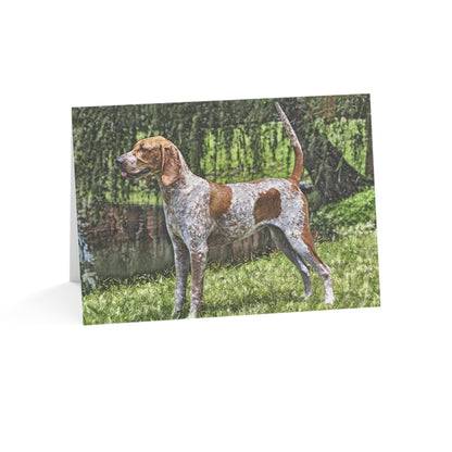 American English Coonhound Greeting Cards | Set of 10, 30, or 50 | Oil Painting Dog Art with Envelopes