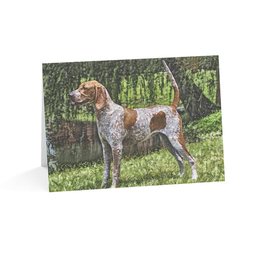 American English Coonhound Greeting Cards | Set of 10, 30, or 50 | Oil Painting Dog Art with Envelopes