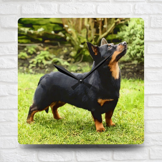 Lancashire Heeler Wall Clock | 10.75” Acrylic Rare Breed Dog Décor