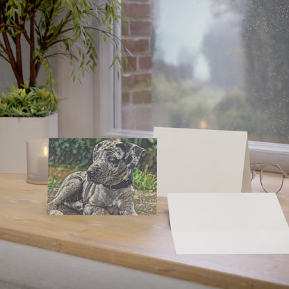 Catahoula Leopard Dog Greeting Cards (Set of 10, 30, or 50) | Dog Lover Gift | Blank Inside with Elegant Catahoula Art