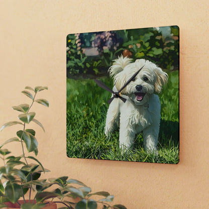 Bichon Frise Wall Clock | Dog Lover Gift | Watercolor Bichon Frise Art | 10.75" Acrylic Clock