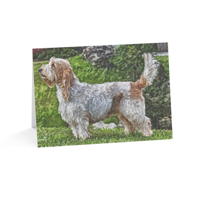 Petit Basset Griffon Vendéen Greeting Cards – French Hound Lover Gift – Watercolor PBGV Art (Set of 10, 30, or 50)