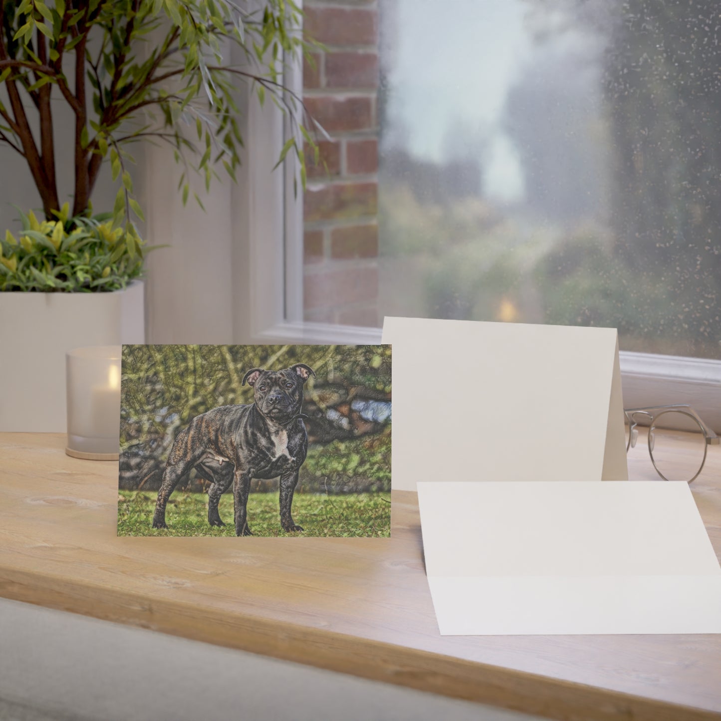Staffordshire Bull Terrier Greeting Cards – Staffy Breed Art Set