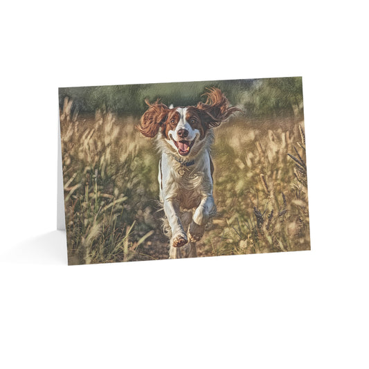 Brittany Greeting Cards (Set of 10, 30, 50) | Dog Lover Stationery | Blank Inside