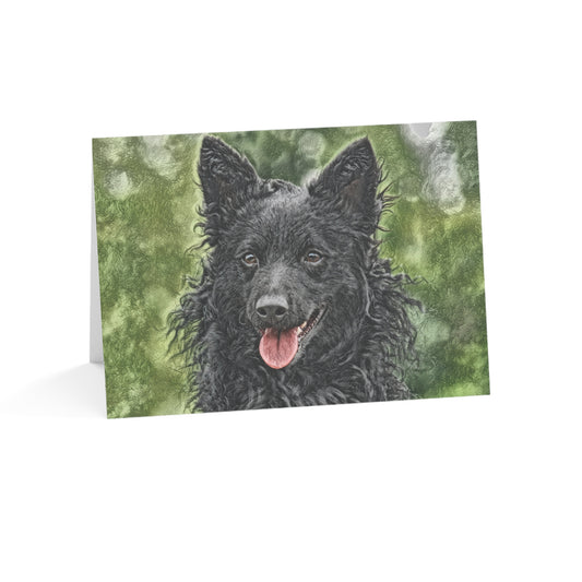 Croatian Sheepdog Greeting Cards – Set of 10/30/50 – 5″×7″ Blank Dog Lover Cards with Envelopes