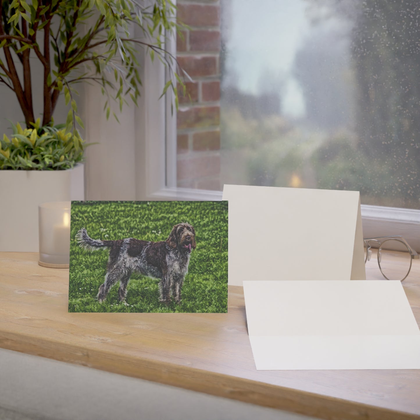 Spinone Italiano Greeting Cards – Sporting Dog Breed Art Set