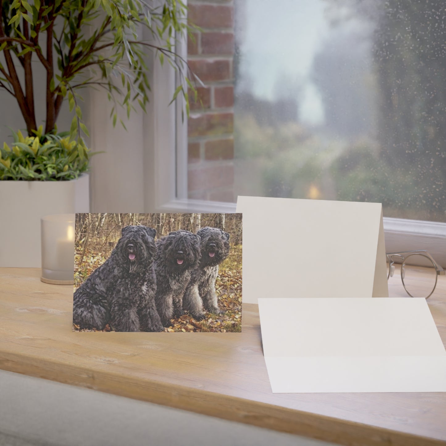 Bouvier des Flandres Greeting Cards (Set of 10, 30, 50) | Dog Lover Stationery | Blank Inside