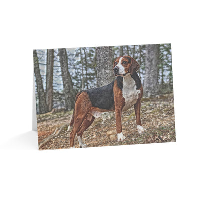Hamiltonstovare Greeting Card Set | Rare Swedish Scenthound 5″x7″ Blank Cards with Envelopes