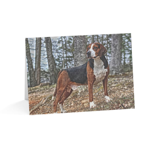 Hamiltonstovare Greeting Card Set | Rare Swedish Scenthound 5″x7″ Blank Cards with Envelopes