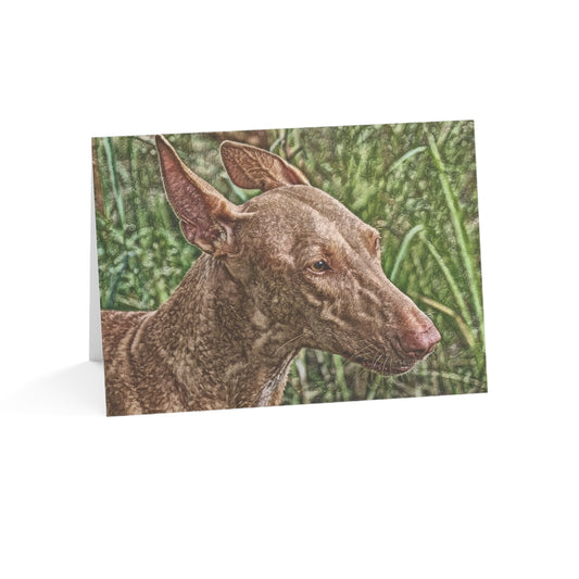 Pharaoh Hound Greeting Cards – Elegant Egyptian Dog Lover Gift – Watercolor Pharaoh Hound Art (Set of 10, 30, or 50)