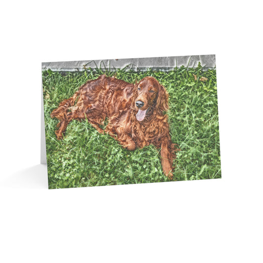 Irish Setter Greeting Card Set | Graceful Red Dog 5″x7″ Blank Cards with Envelopes