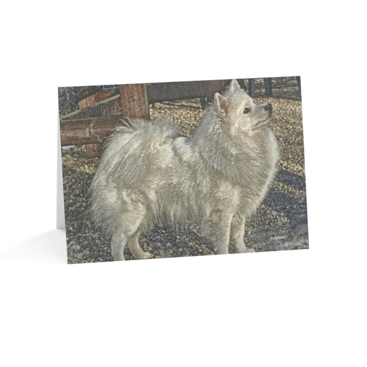 Volpino Italiano Greeting Cards – Rare Dog Lover Note Cards – Italian Breed Design