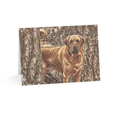 Broholmer Greeting Cards (Set of 10, 30, 50) | Rare Dog Breed Stationery | Blank Inside
