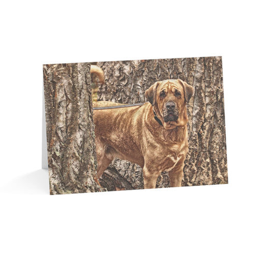 Broholmer Greeting Cards (Set of 10, 30, 50) | Rare Dog Breed Stationery | Blank Inside