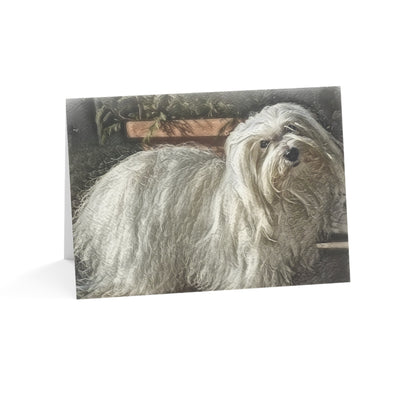 Coton de Tulear Greeting Cards – Adorable Watercolor Dog Art Note Card Set