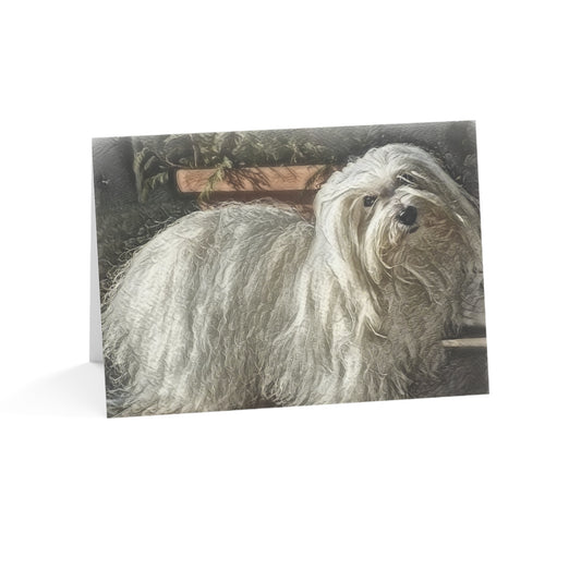 Coton de Tulear Greeting Cards – Adorable Watercolor Dog Art Note Card Set