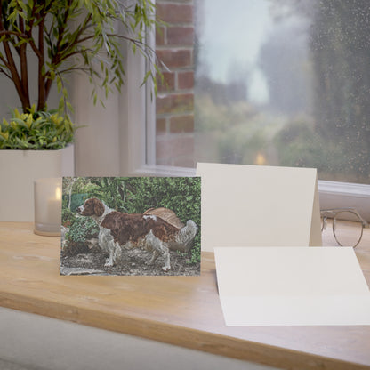 Welsh Springer Spaniel Greeting Cards – Dog Lover Stationery – Artistic Spaniel Portrait