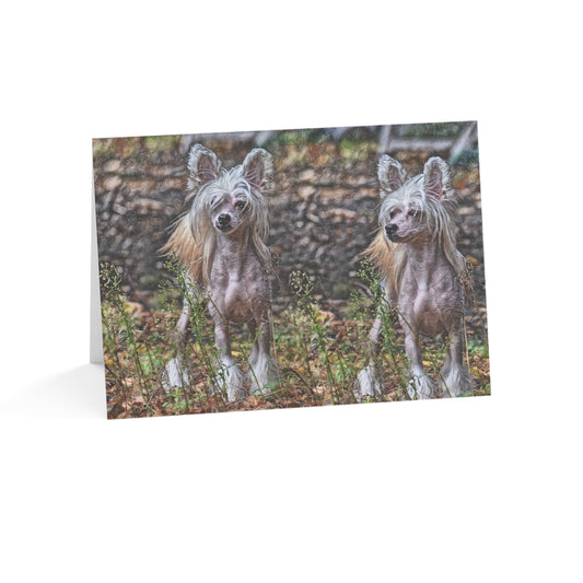 Chinese Crested Greeting Cards | Dog Lover Gift | Elegant Blank Note Cards with Crested Dog Art
