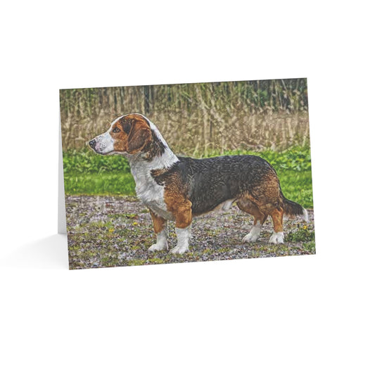 Drever Greeting Card Set | Swedish Hound 5x7 Blank Dog Cards