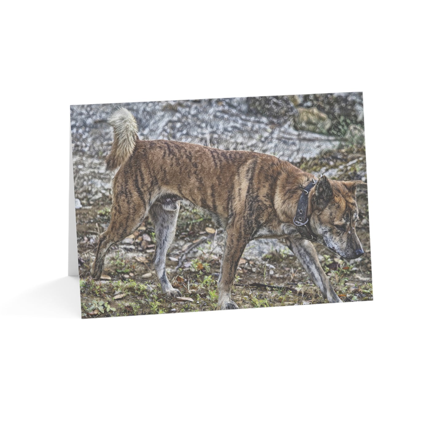 Treeing Tennessee Brindle Greeting Cards – Custom Dog Lover Note Cards – Artistic Breed Design