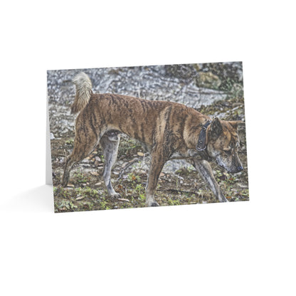 Treeing Tennessee Brindle Greeting Cards – Custom Dog Lover Note Cards – Artistic Breed Design