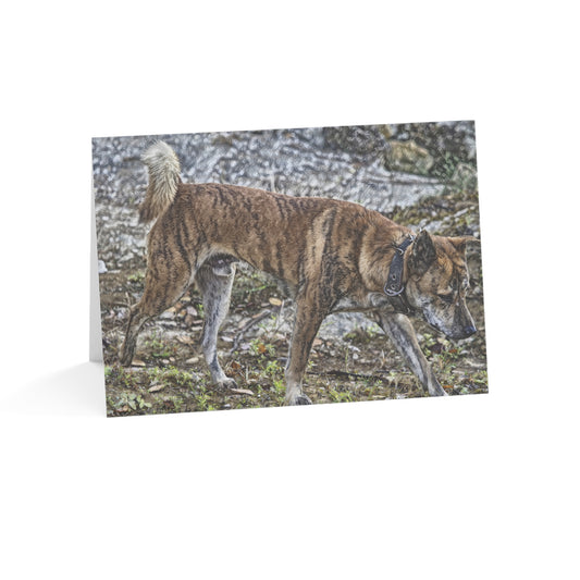 Treeing Tennessee Brindle Greeting Cards – Custom Dog Lover Note Cards – Artistic Breed Design