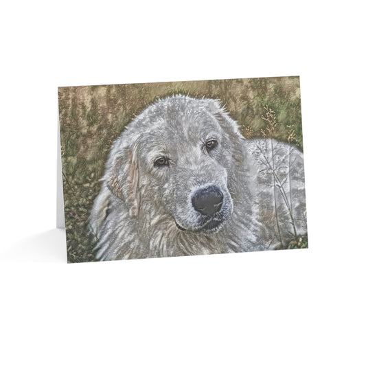Maremma Sheepdog Greeting Cards – Loyal Guardian Stationery – Custom Maremma Photo Art