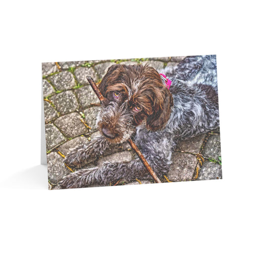 Wirehaired Pointing Griffon Greeting Cards – Rugged Dog Lover Stationery – Sporting Breed Design