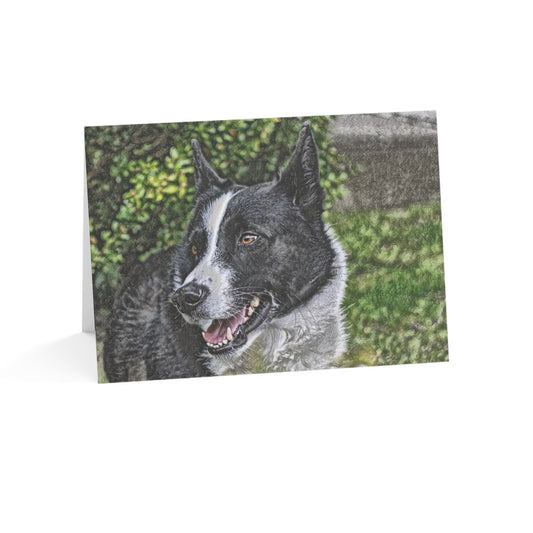 Karelian Bear Dog Greeting Card Set – Brave & Loyal Dog Lover Cards (5"x7")