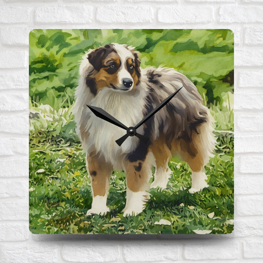 Miniature American Shepherd Wall Clock – Energetic Dog Lover Décor – Watercolor Mini American Shepherd Art