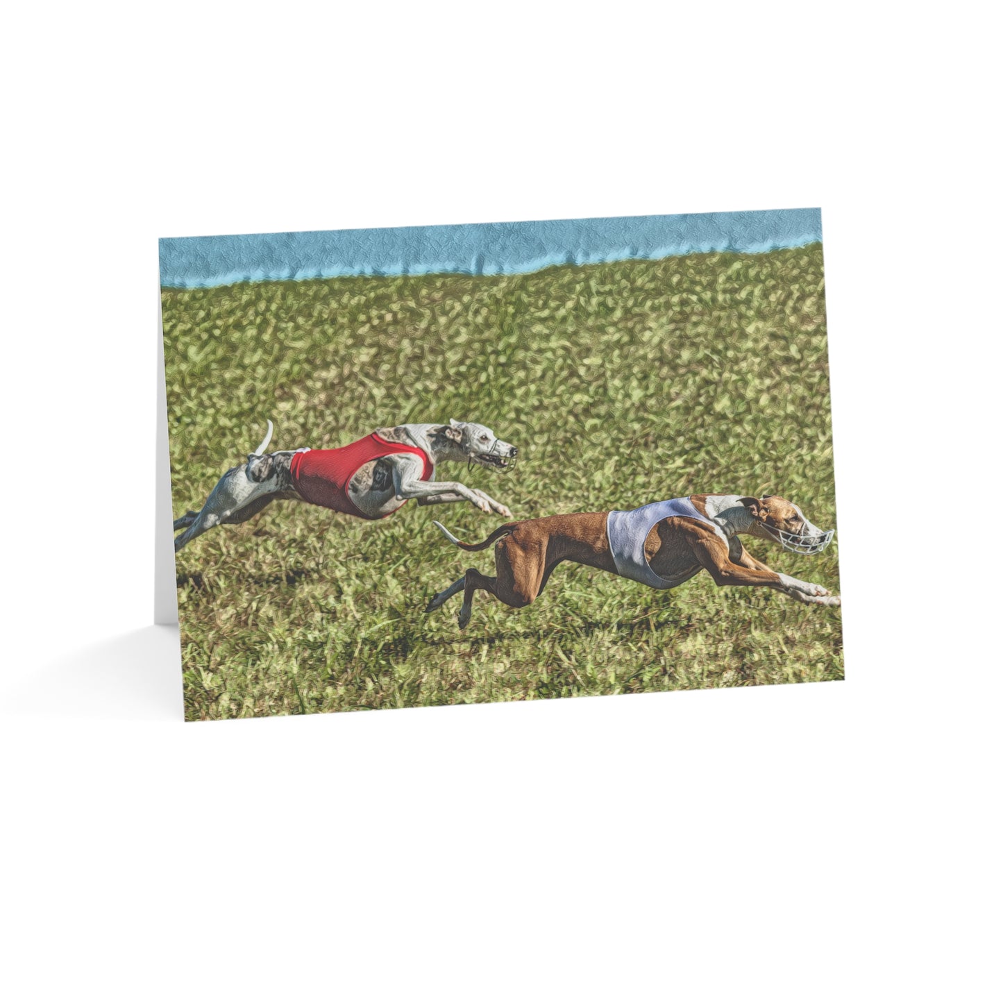 Whippet Greeting Cards – Elegant Dog Lover Note Cards – Artistic Breed Portrait