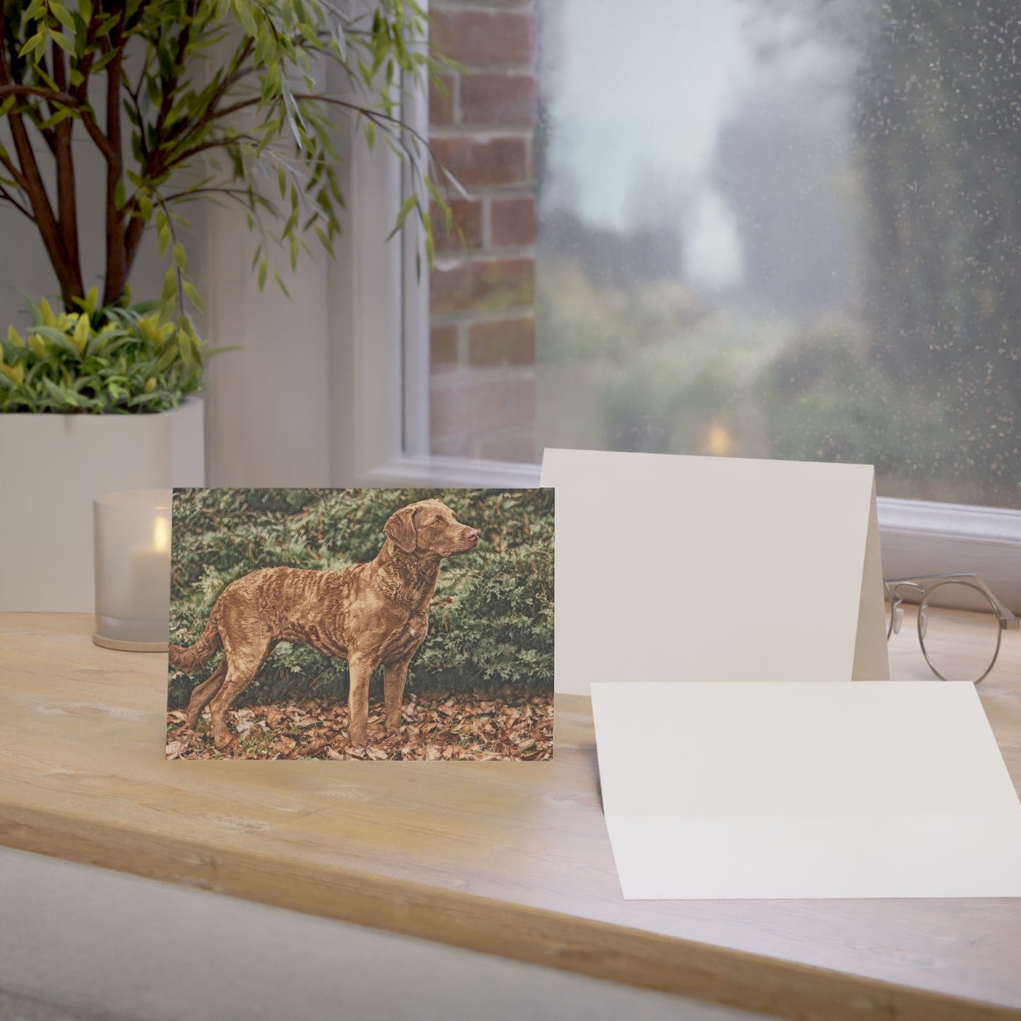 Chesapeake Bay Retriever Greeting Cards | Dog Lover Gift | Set of Blank Cards with Retriever Art