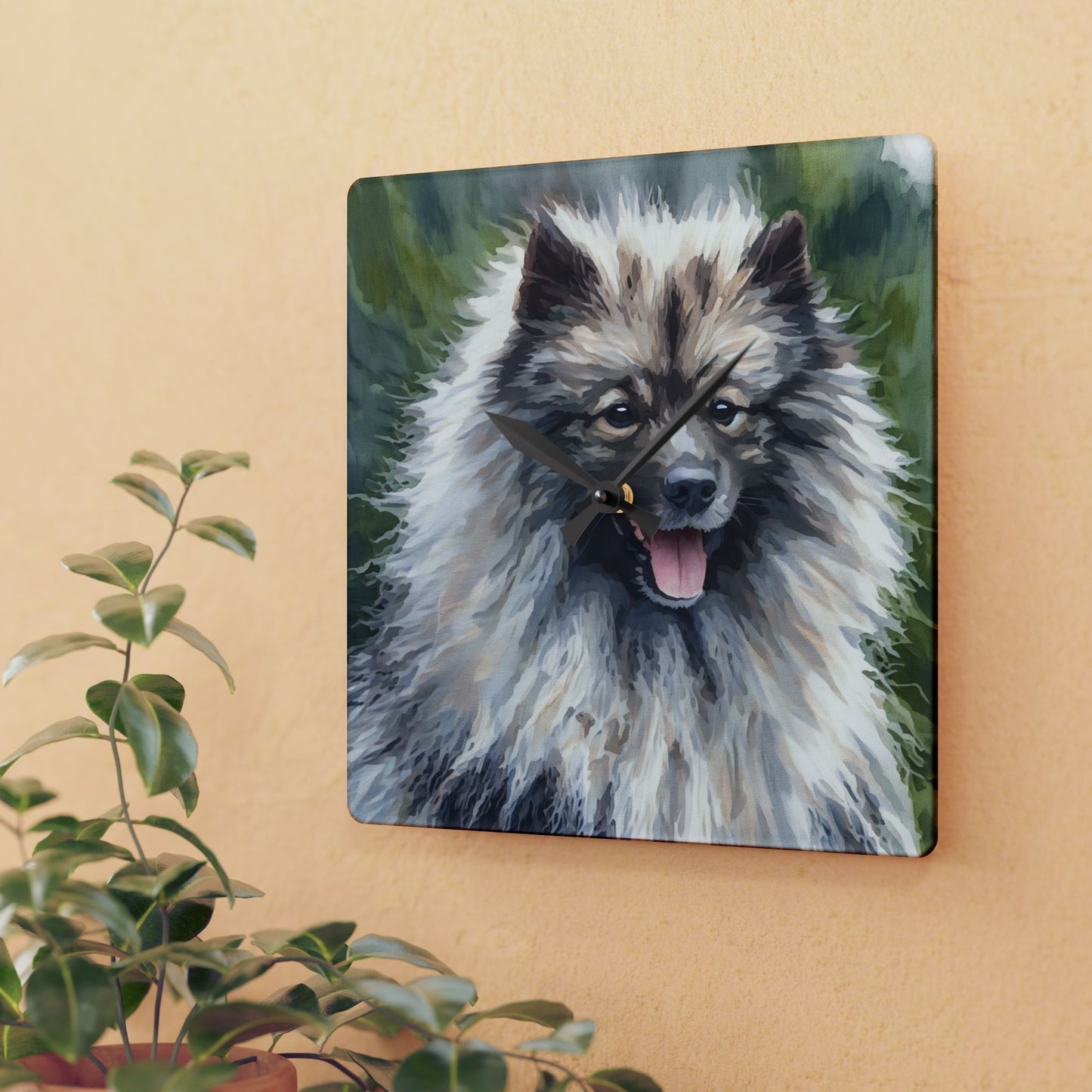 Keeshond Wall Clock | 10.75” Acrylic Dog Breed Home Décor