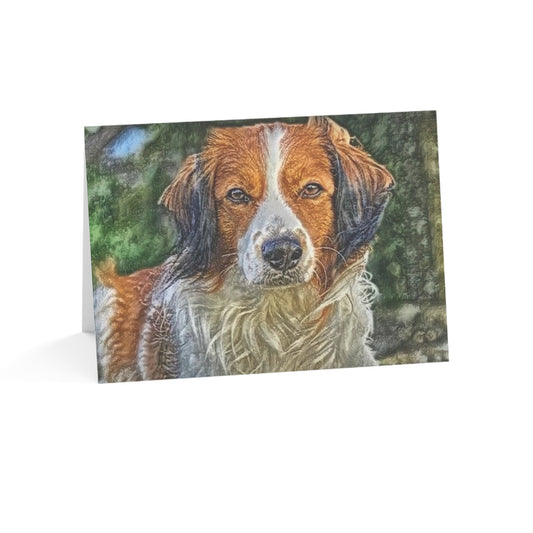 Kooikerhondje Greeting Cards | 5x7 Rare Dog Breed Note Cards | Sets of 10, 30, 50
