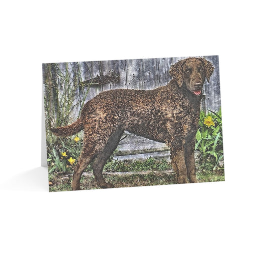 Curly-Coated Retriever Greeting Cards – Set of 10/30/50 – 5″×7″ Blank Dog Lover Cards with Envelopes