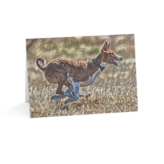 Basenji Greeting Cards (Set of 10, 30, 50) | Elegant Barkless Dog Lover Stationery