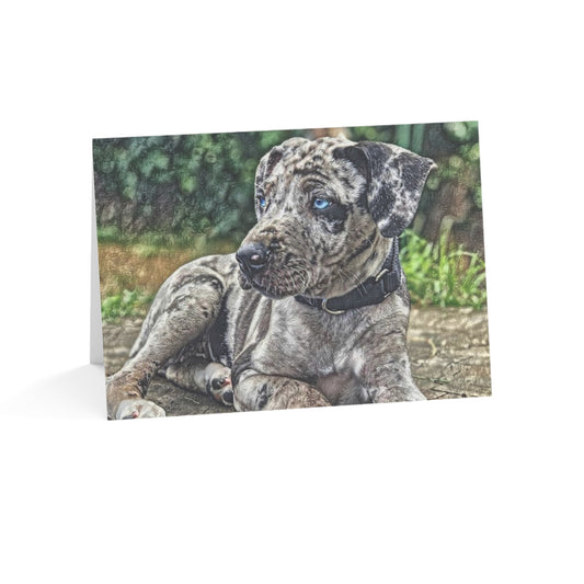 Catahoula Leopard Dog Greeting Cards (Set of 10, 30, or 50) | Dog Lover Gift | Blank Inside with Elegant Catahoula Art