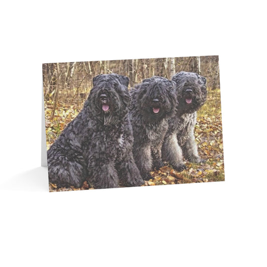 Bouvier des Flandres Greeting Cards (Set of 10, 30, 50) | Dog Lover Stationery | Blank Inside