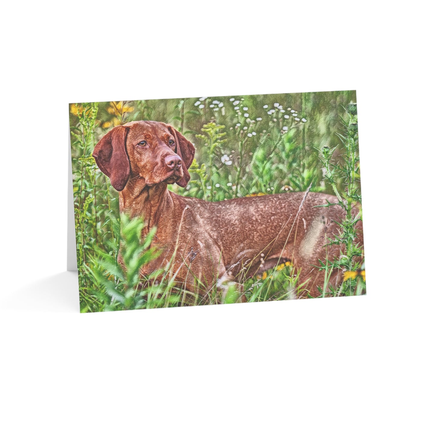 Vizsla Greeting Cards – Elegant Dog Lover Stationery – Artistic Breed Portrait