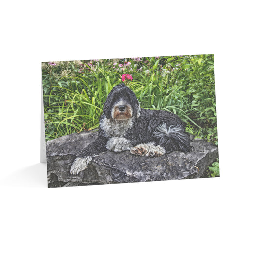 Portuguese Water Dog Greeting Cards – Playful Dog Lover Stationery – Artistic PWD Design