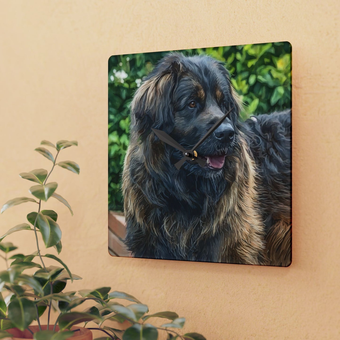 Estrela Mountain Dog Wall Clock – Majestic Watercolor Dog Art on Acrylic – Gift for Mountain Dog Lovers